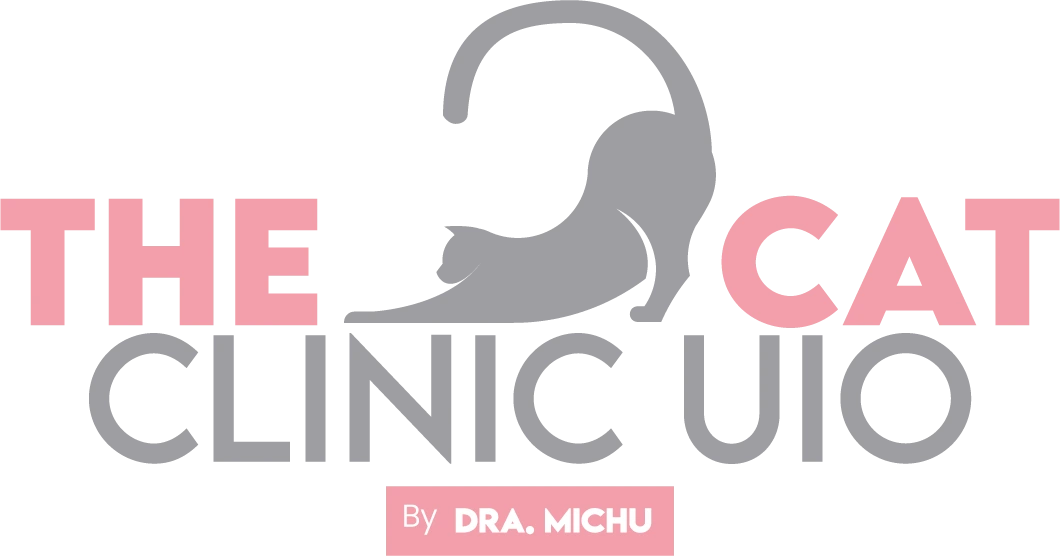 Logo de Dra. Michelle Gallmeier Jaramillo