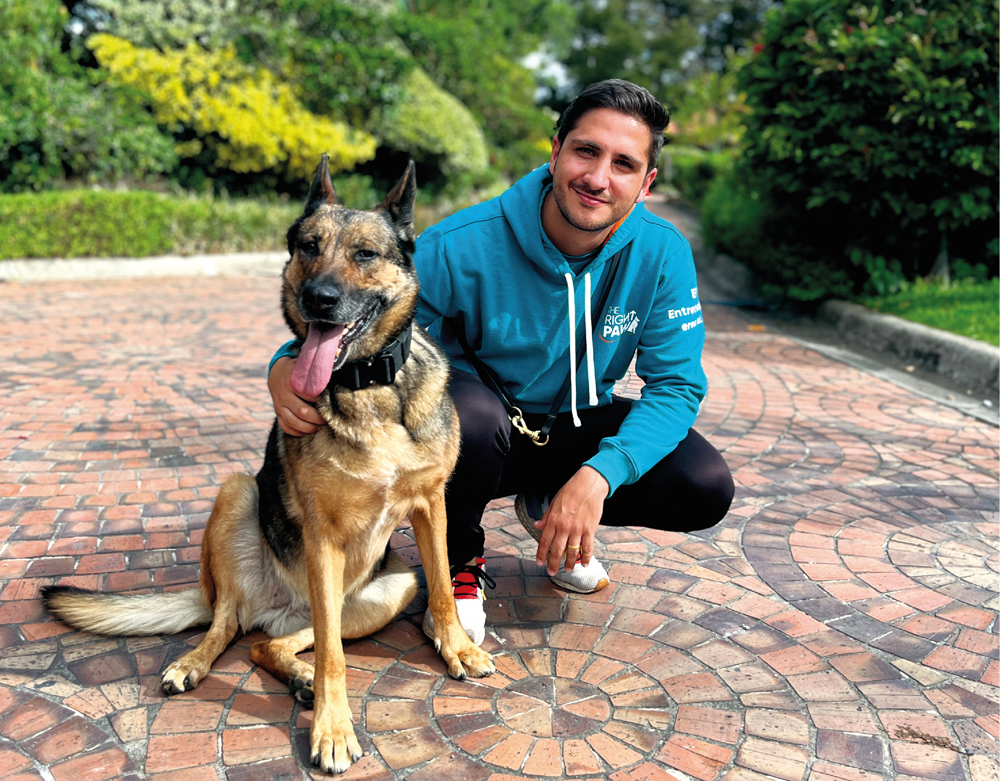 La humanización de las mascotas: Un problema subestimado