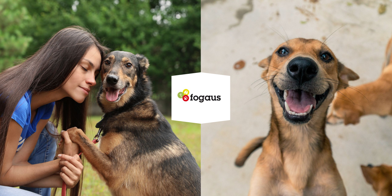 Etología aplicada al rescate y rehabilitación de animales en abandono: una mirada desde la ciencia, la empatía y el compromiso humano