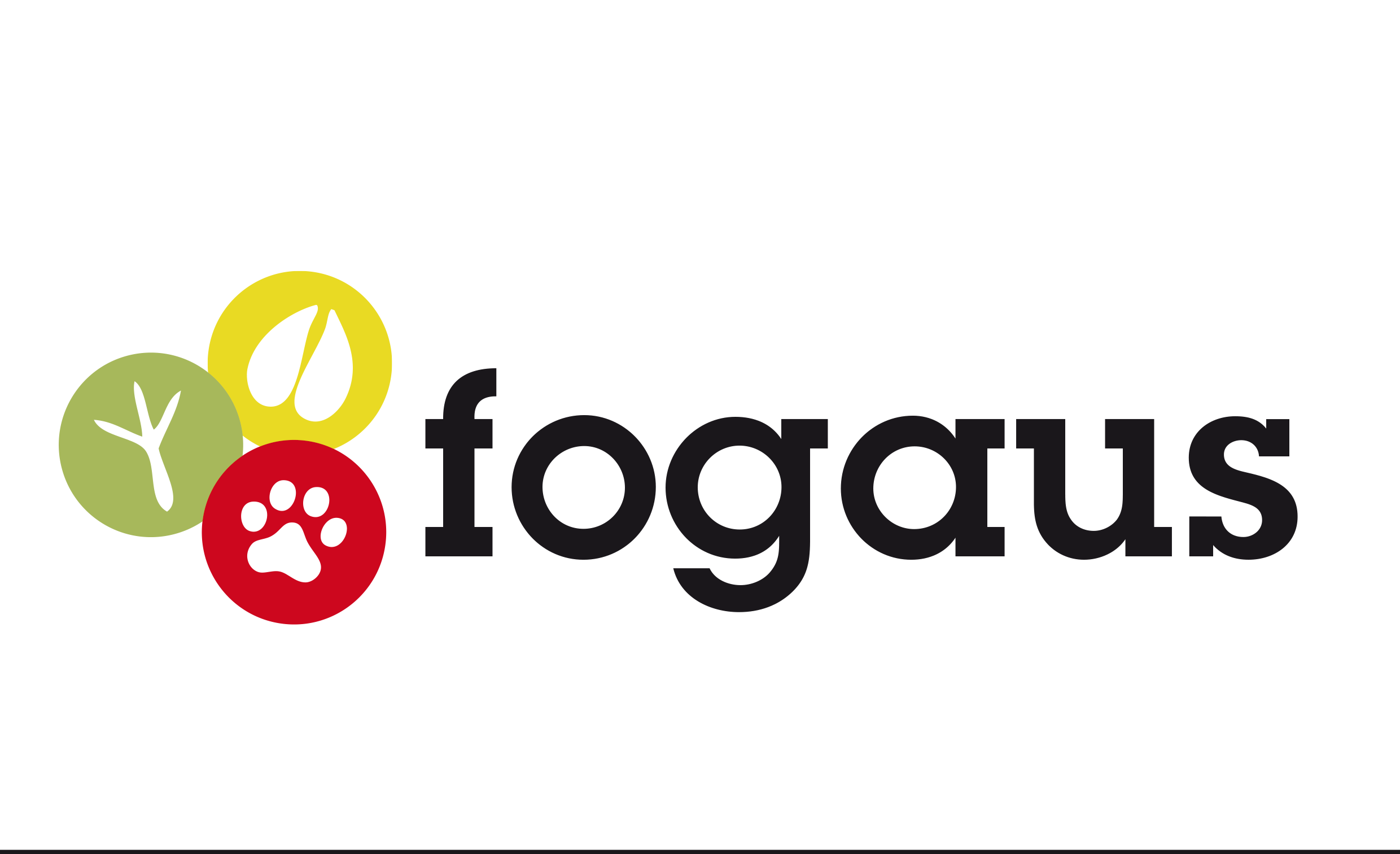 Logo de M. Sc. David Peiró