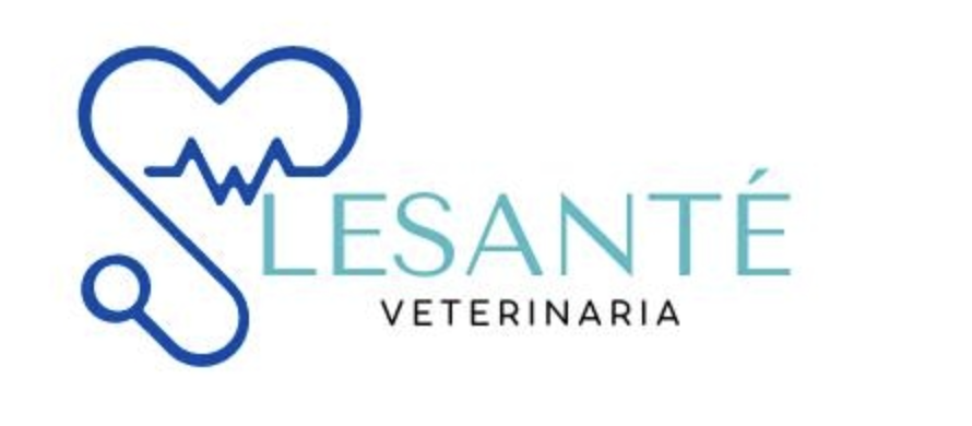 Logo de M.V. Andrés Lema