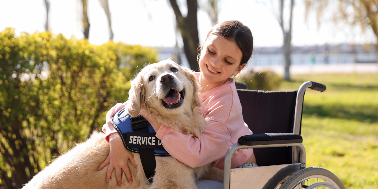 Perros de intervención en Ecuador: el enfoque de Bocalán para transformar vidas con respeto, ciencia y vínculo