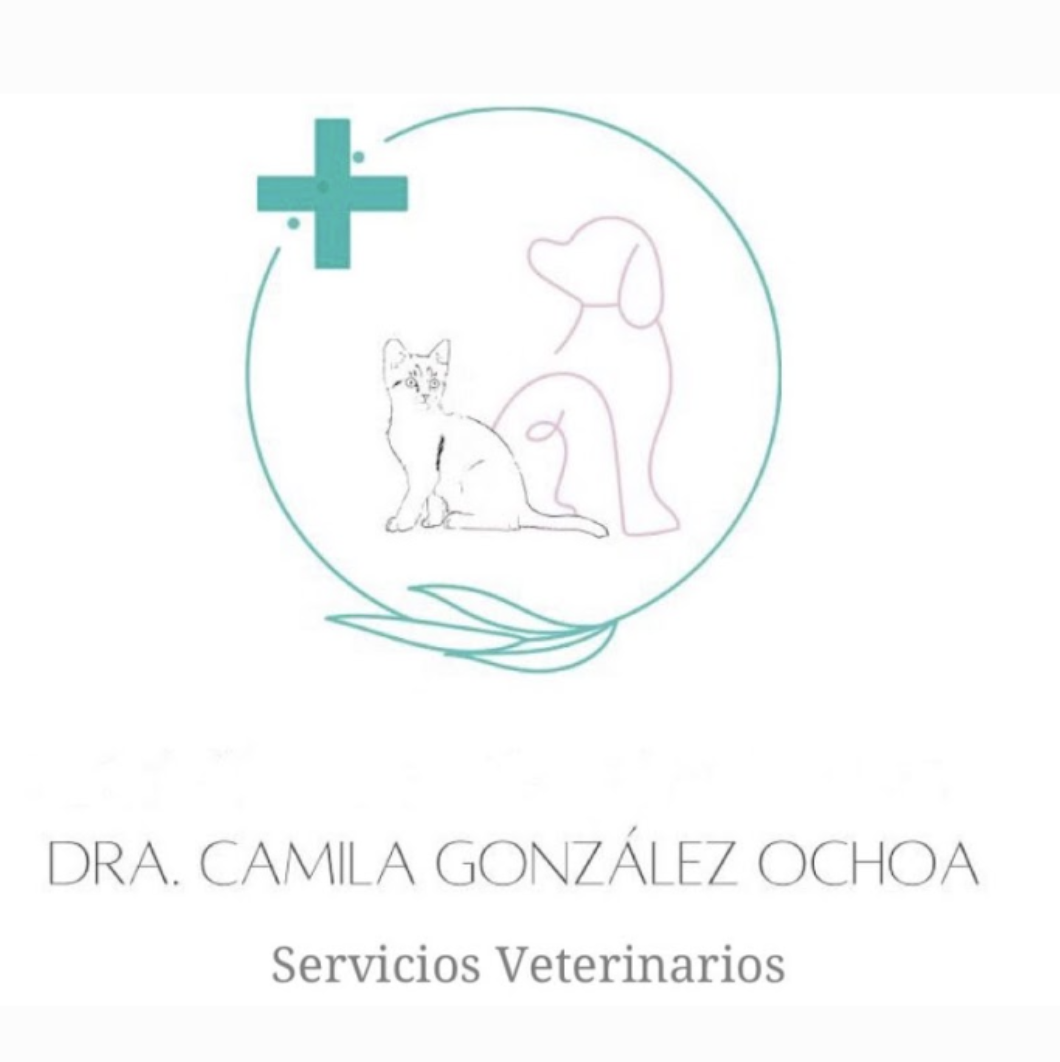 Logo de Camila González