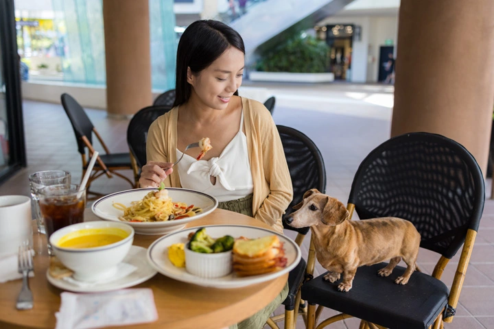 Experiencias Pet-Friendly - Imagen 3