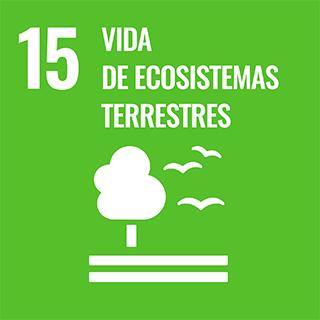 ODS 15 - Vida de ecosistemas terrestres