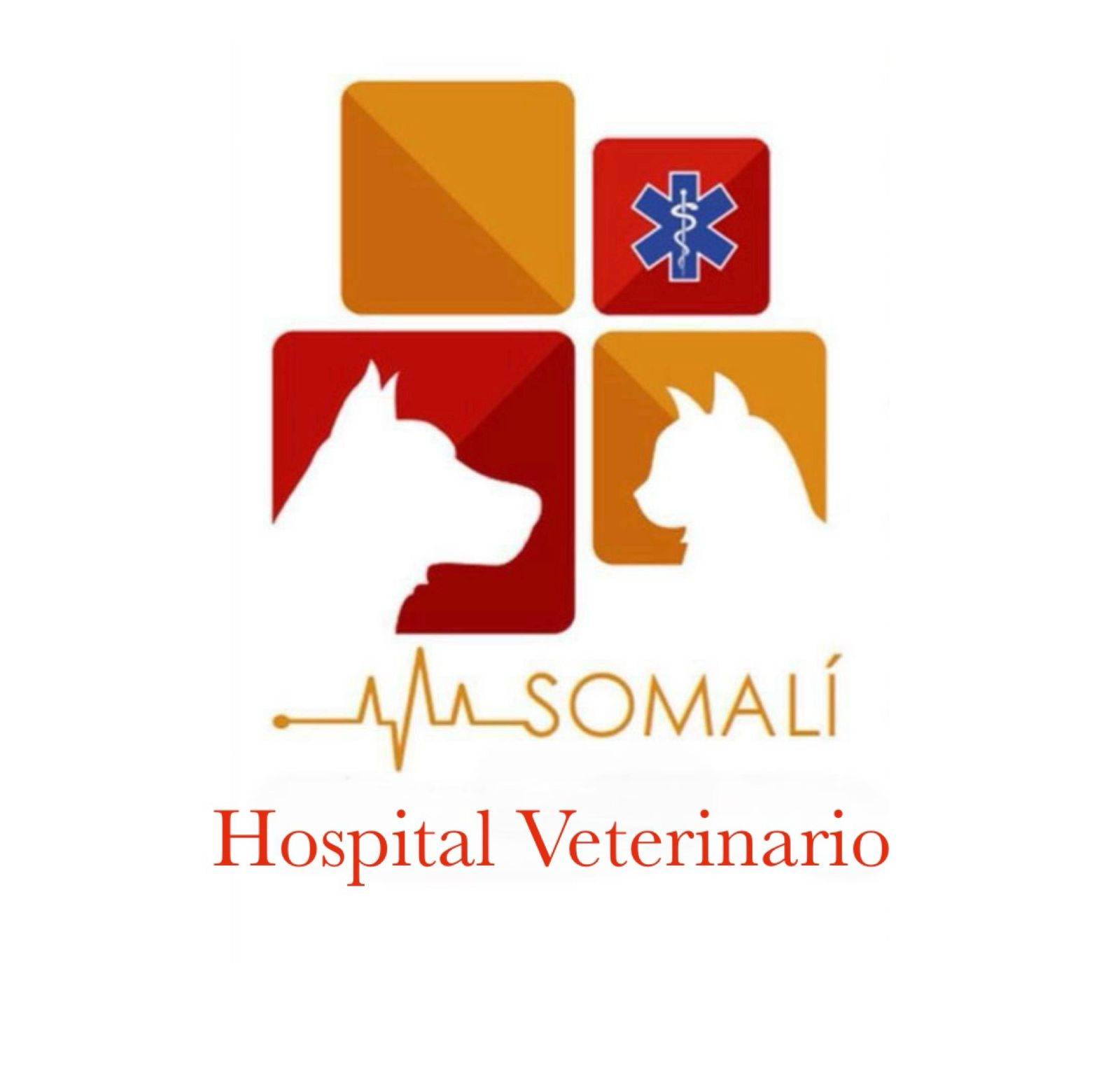 Imagen de Hospital Veterinario Somali