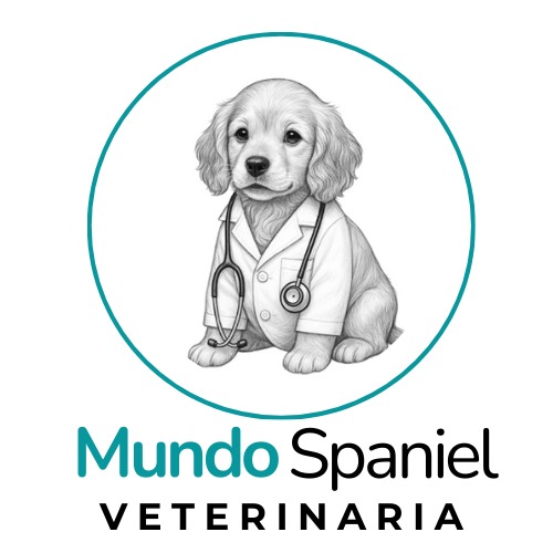 Imagen de Mundo Spaniel Veterinaria