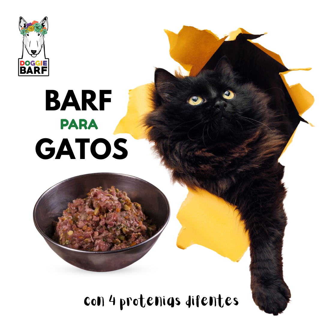 Barf para perritos y gatitos