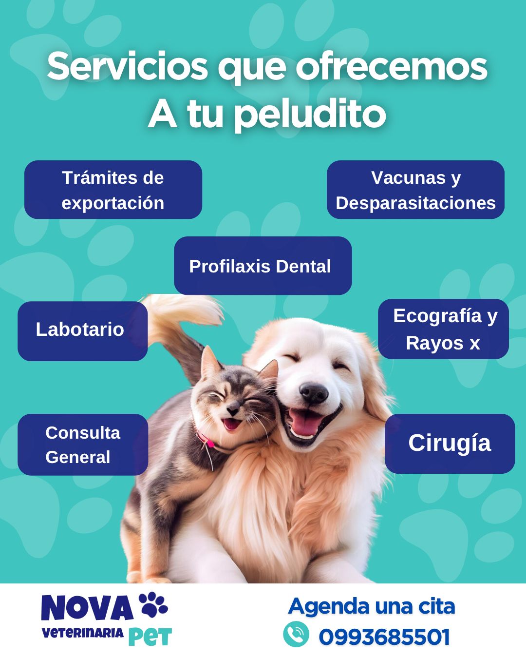Amplia Gama De Servicios