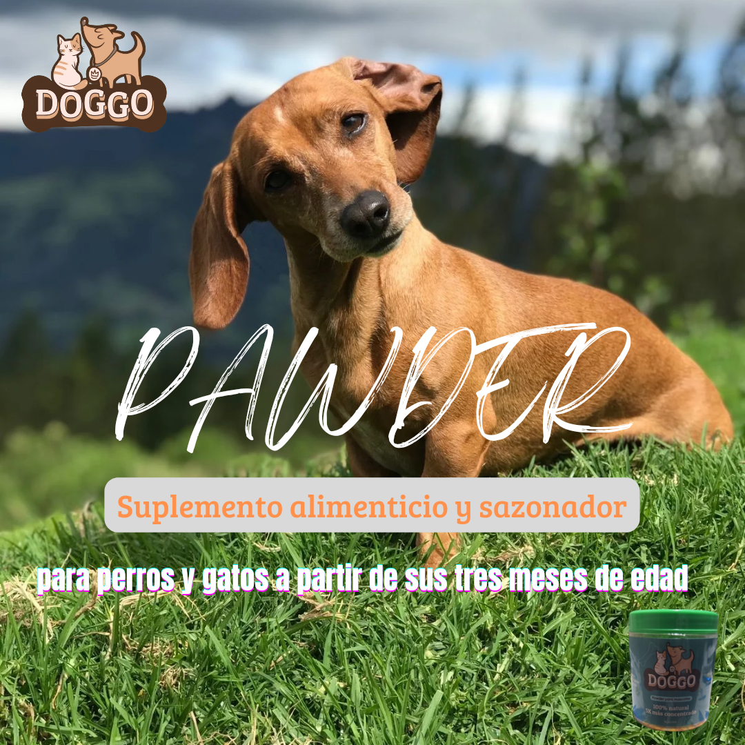 Pawder naturalmente diferente 🐾😺🐶