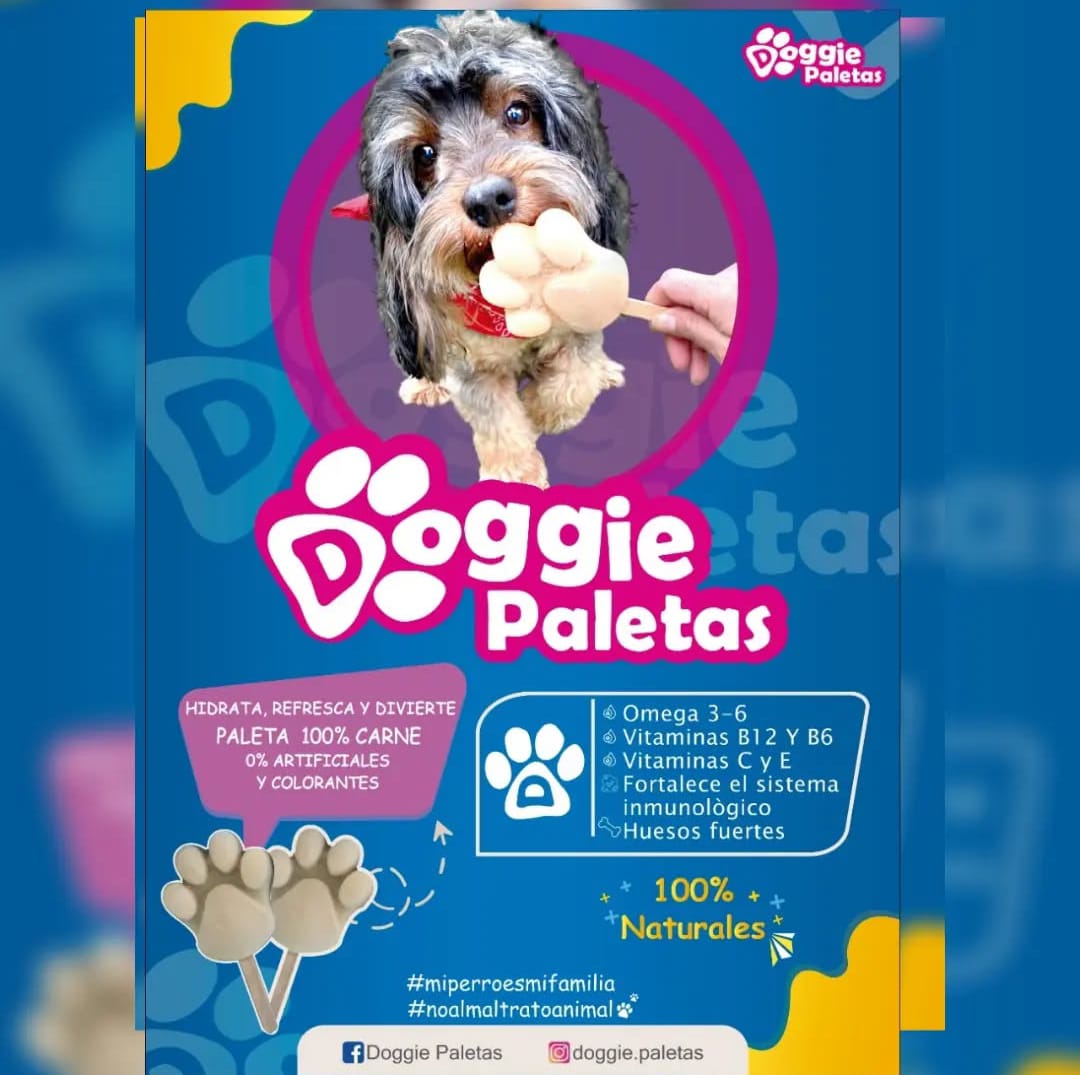 Doggie Paletas