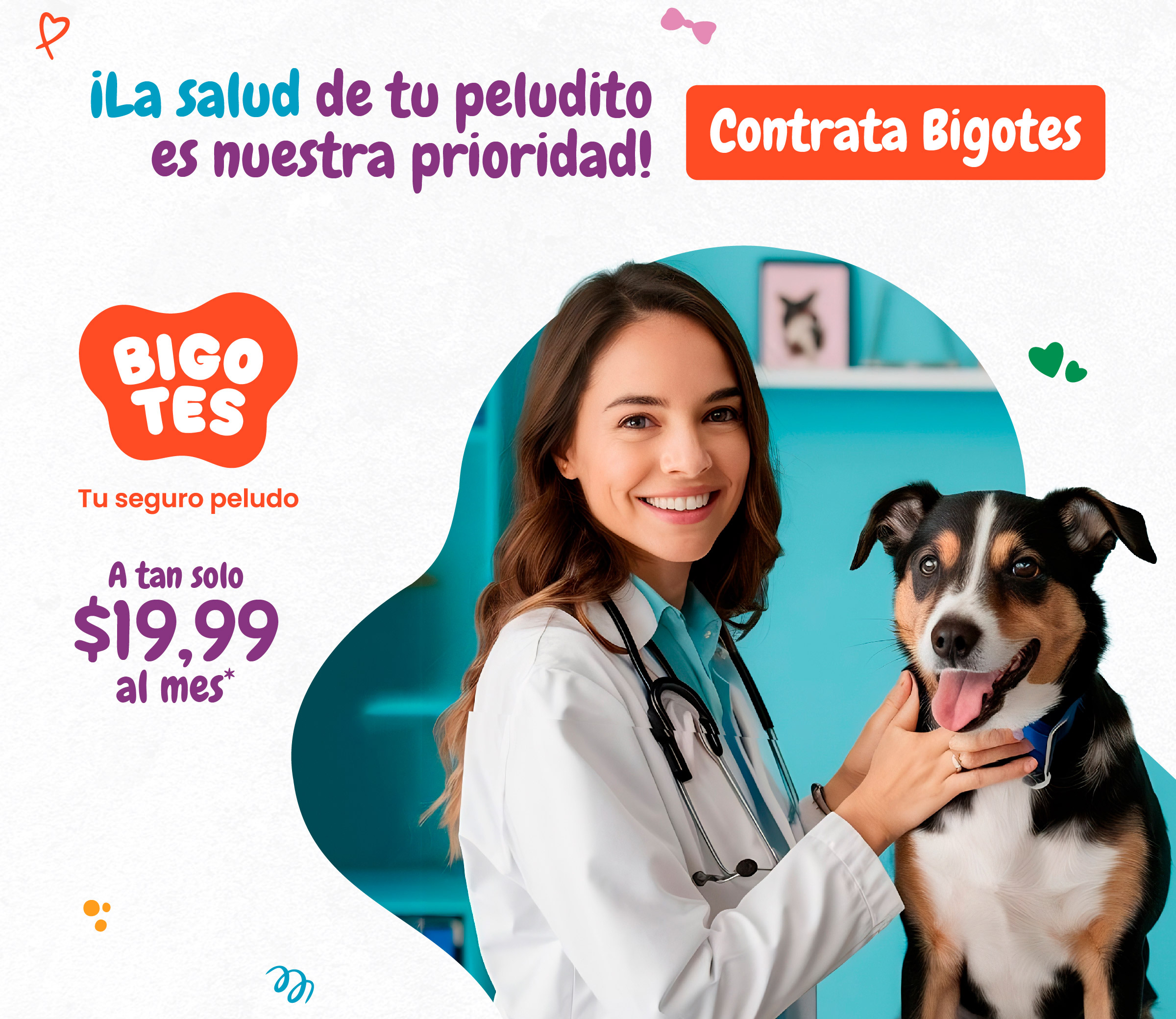 Bigotes – Tu Seguro Peludo