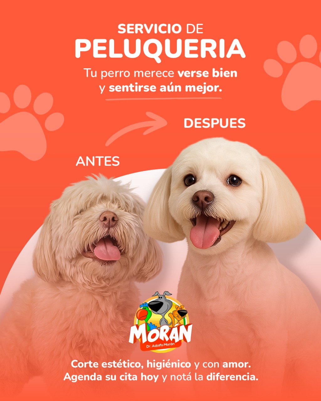 Clínica Veterinaria Morán