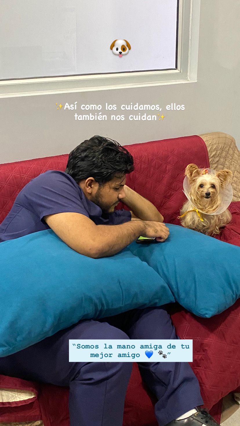 No solo es hospitalización y recuperación. Es hacerlos sentir como si fuera su casa