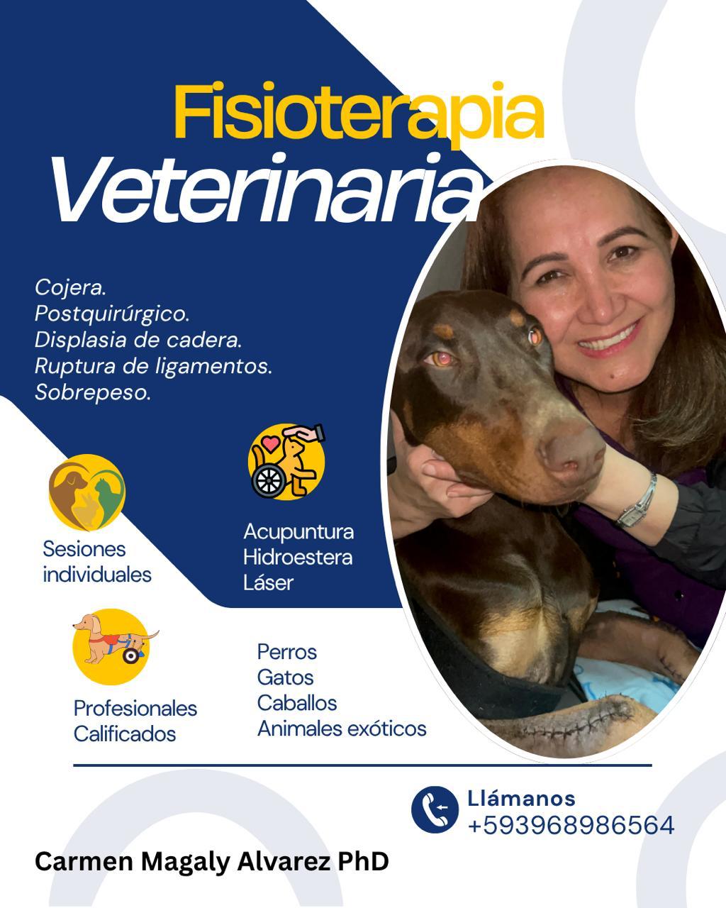Fisioterapia y Acupuntura