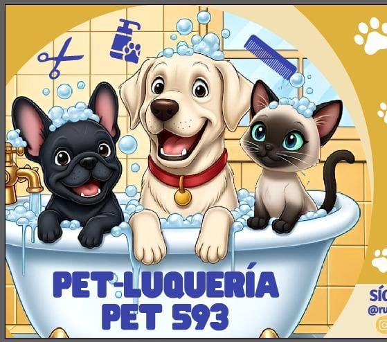 PET-LUQUERIA Y PET-CEDULACION