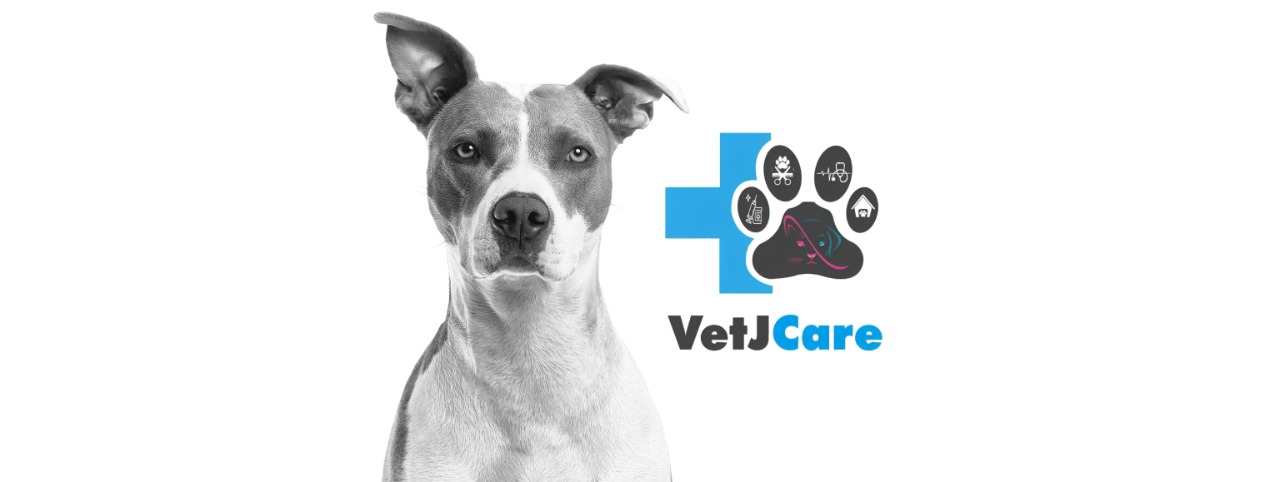 Imagen de Centro Veterinario VetJCare