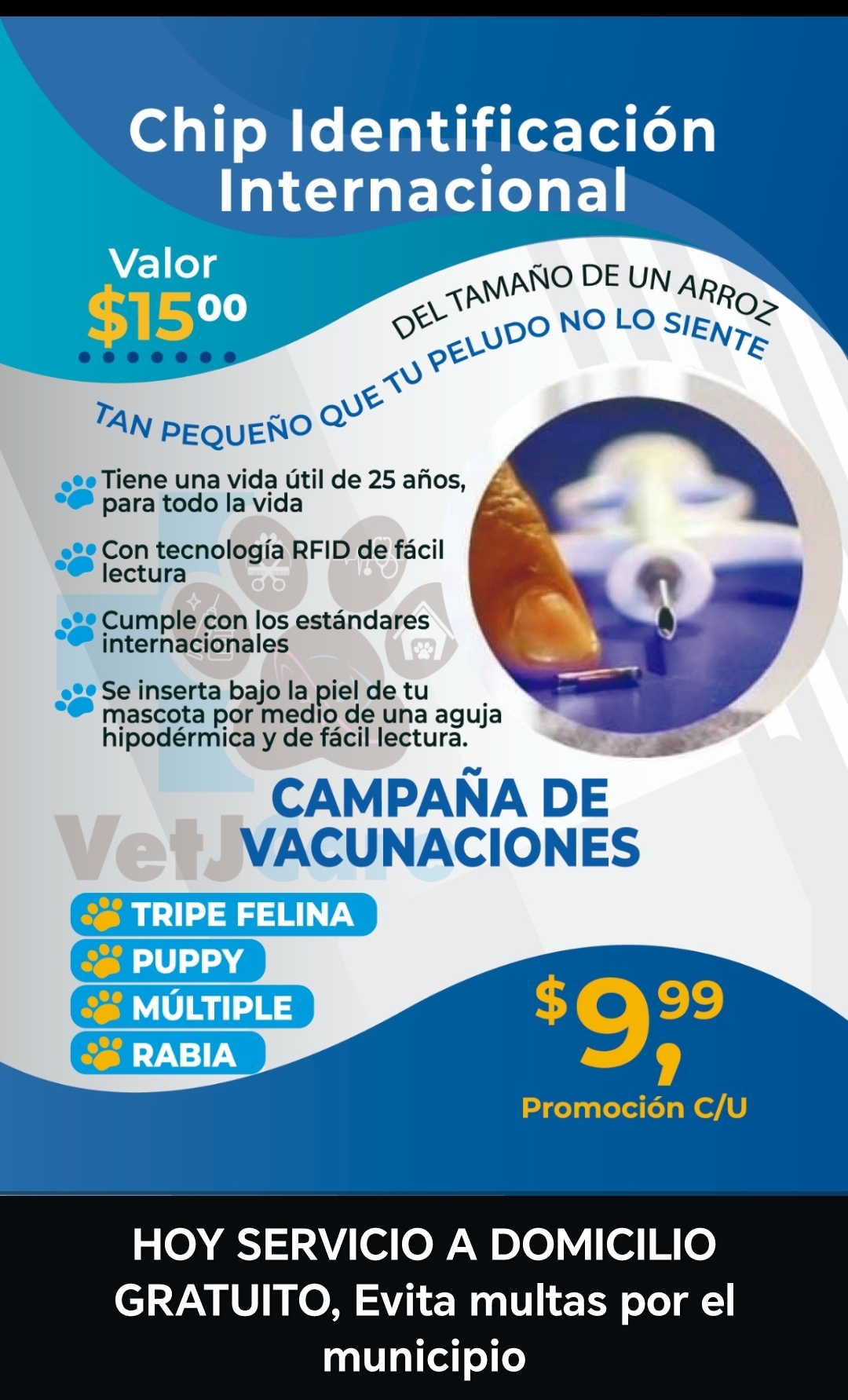 Campaña de vacunacion y microchips