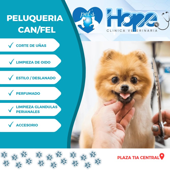 Clínica Veterinaria Pet’s Hope