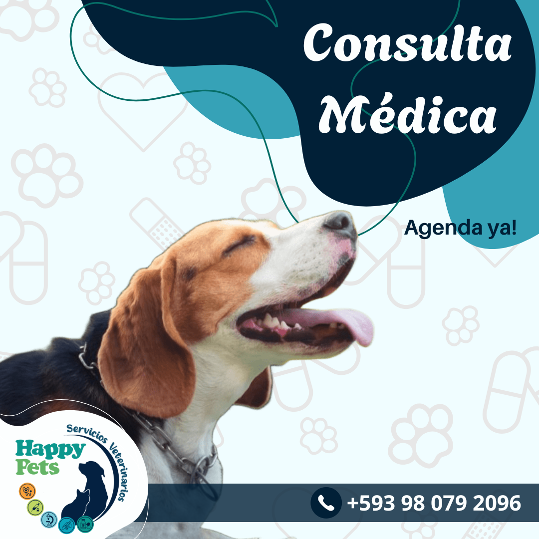 Servicio de Consulta Médica a Domicilio