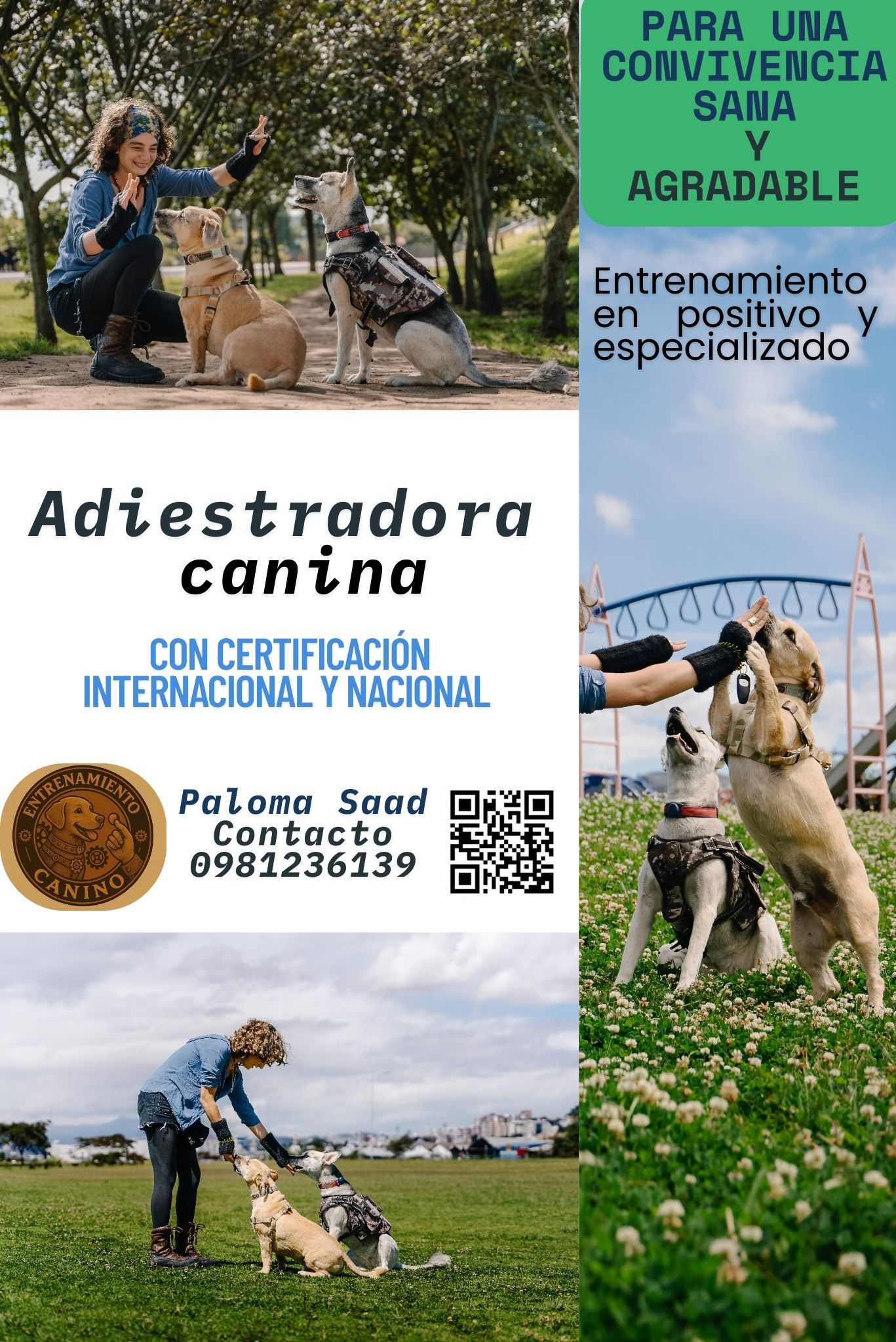 Adiestramiento Canino
