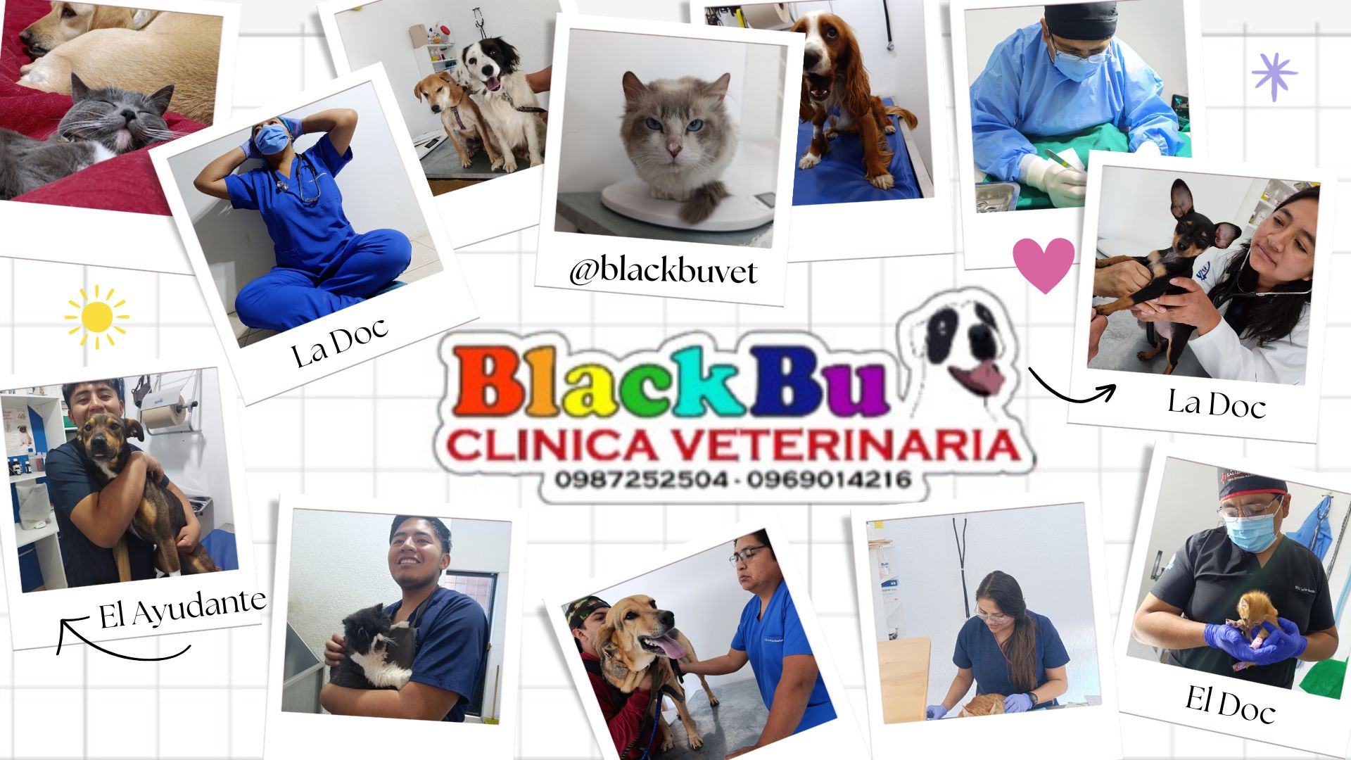Clínica Veterinaria BLACKBU
