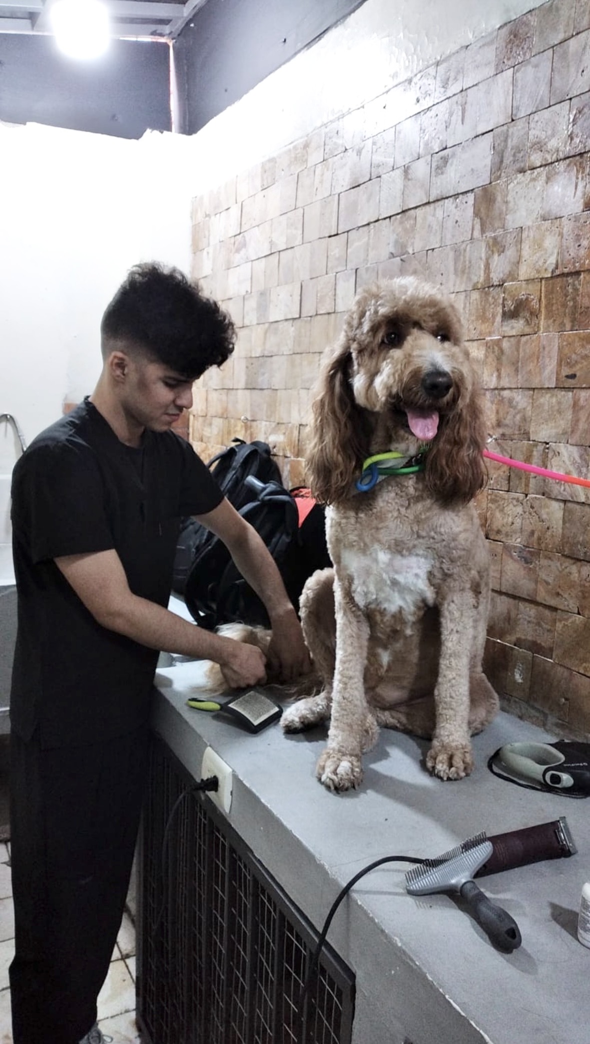 Día de spa de Canela 🐾