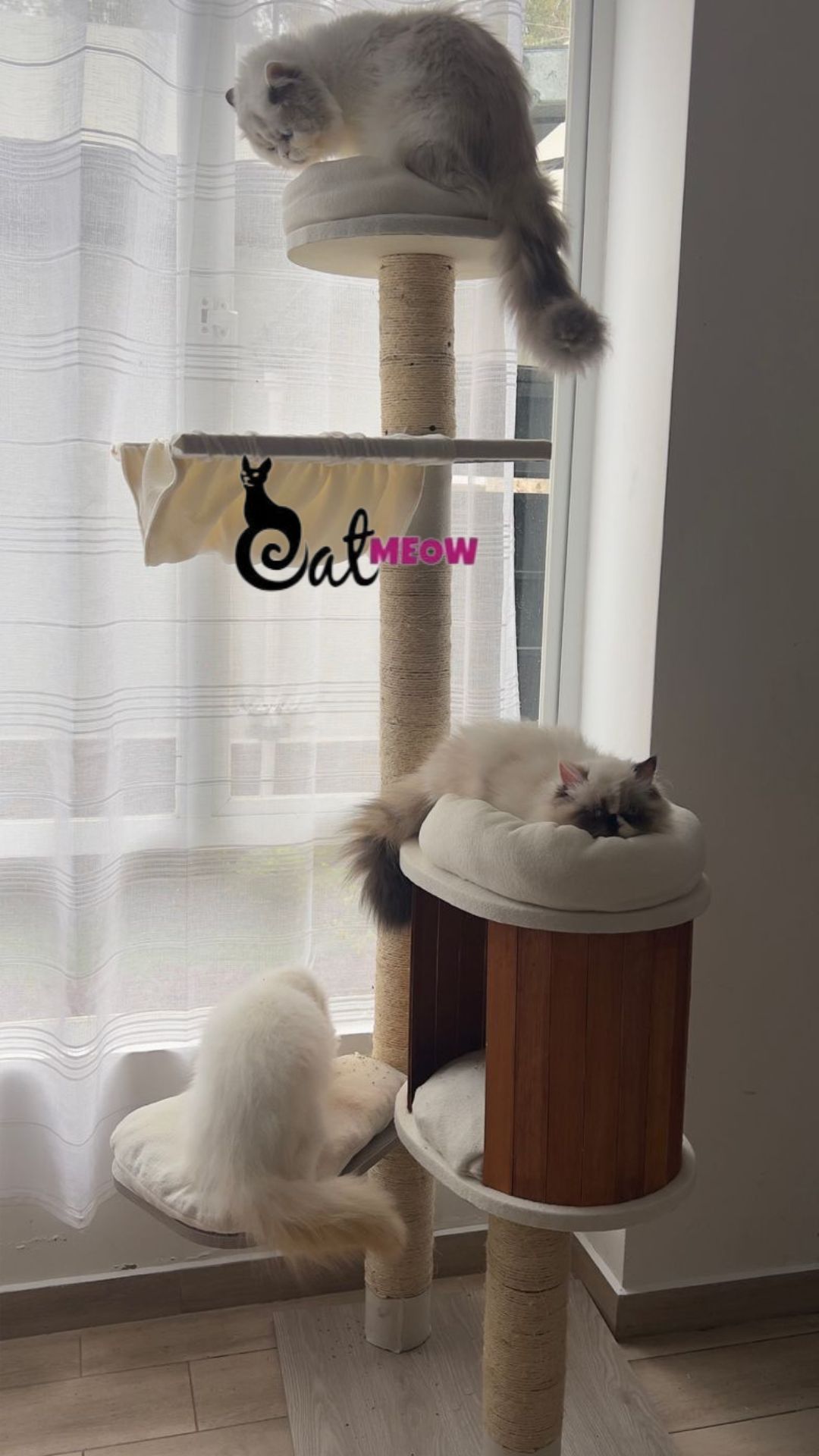 Búscanos en nuestras redes para ver más imágenes