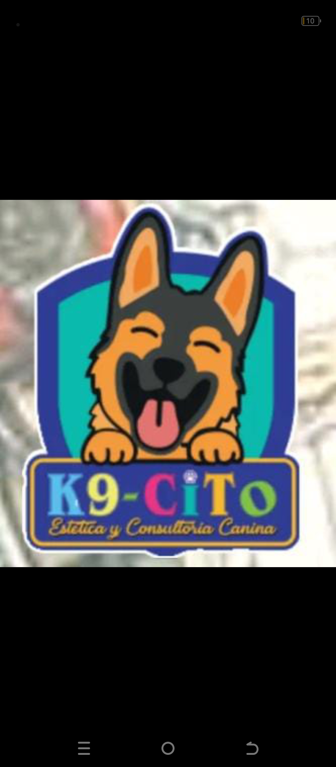 K9-Cito