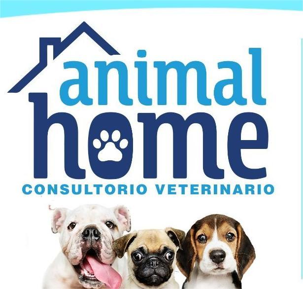 Animal Home Consultorio Veterinario