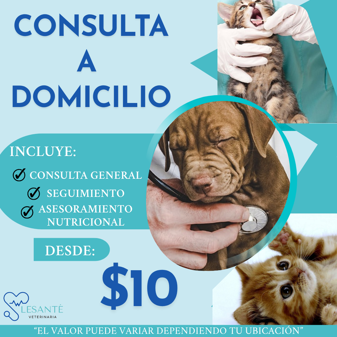 Consulta a domicilio