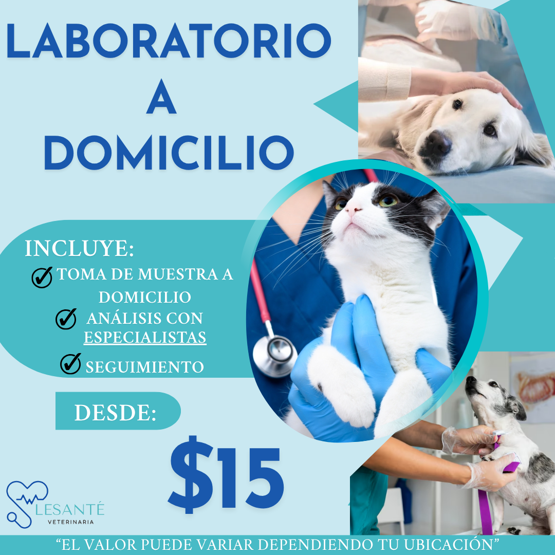Laboratorio a domicilio