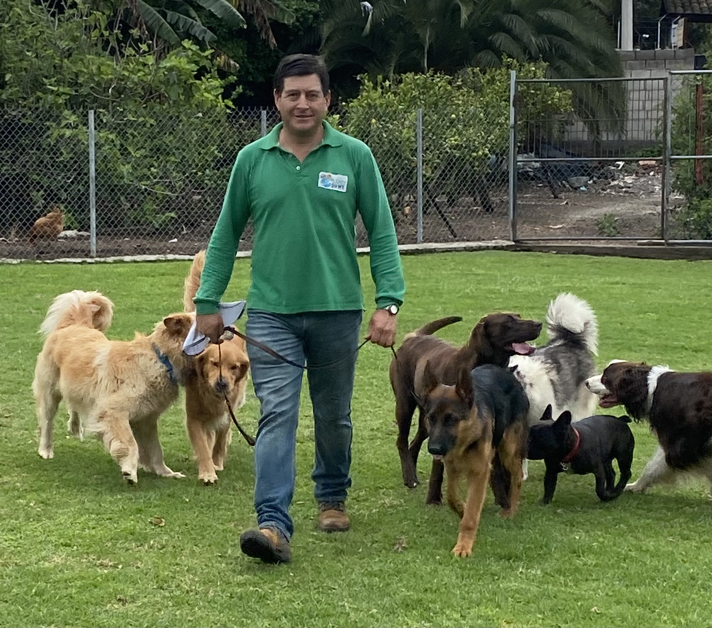 Cuando demuestras amor por las mascotas todos te siguen