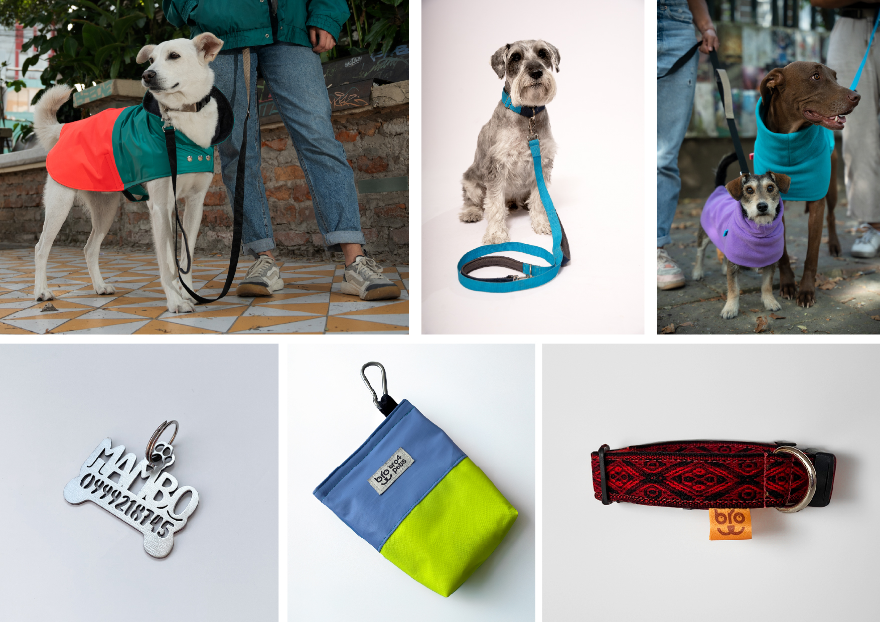 Impermeables, placas y otros accesorios para perros