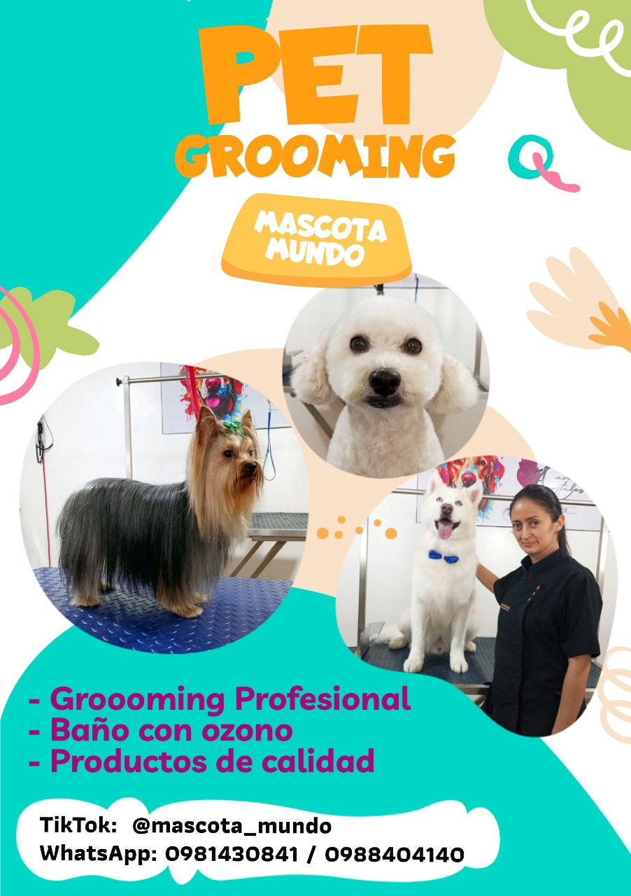 Grooming profesional