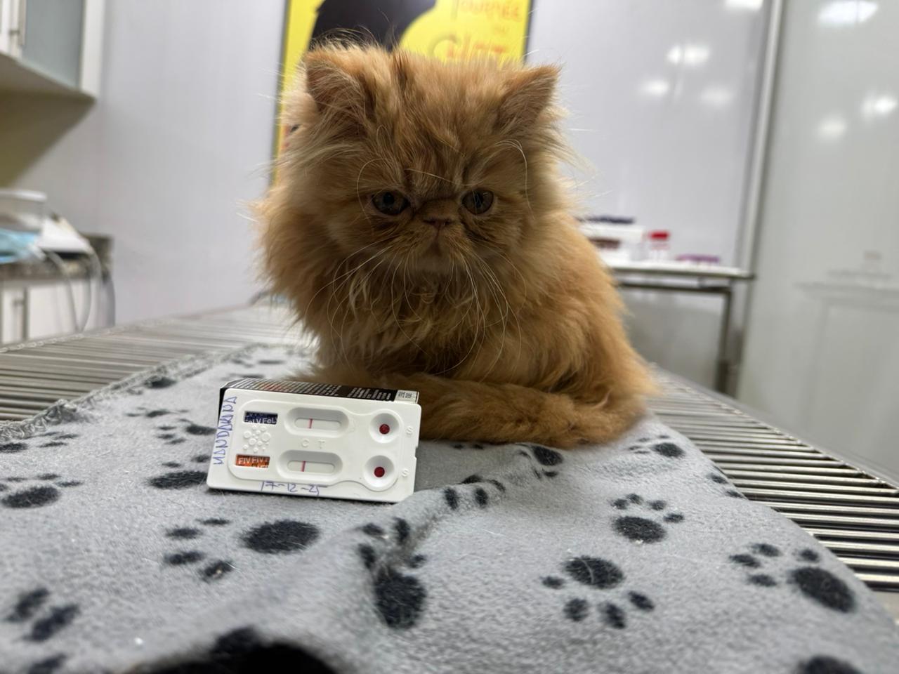 Clínica Veterinaria Garras & Huellas