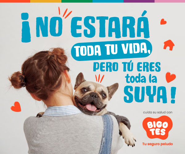 Bigotes – Tu Seguro Peludo