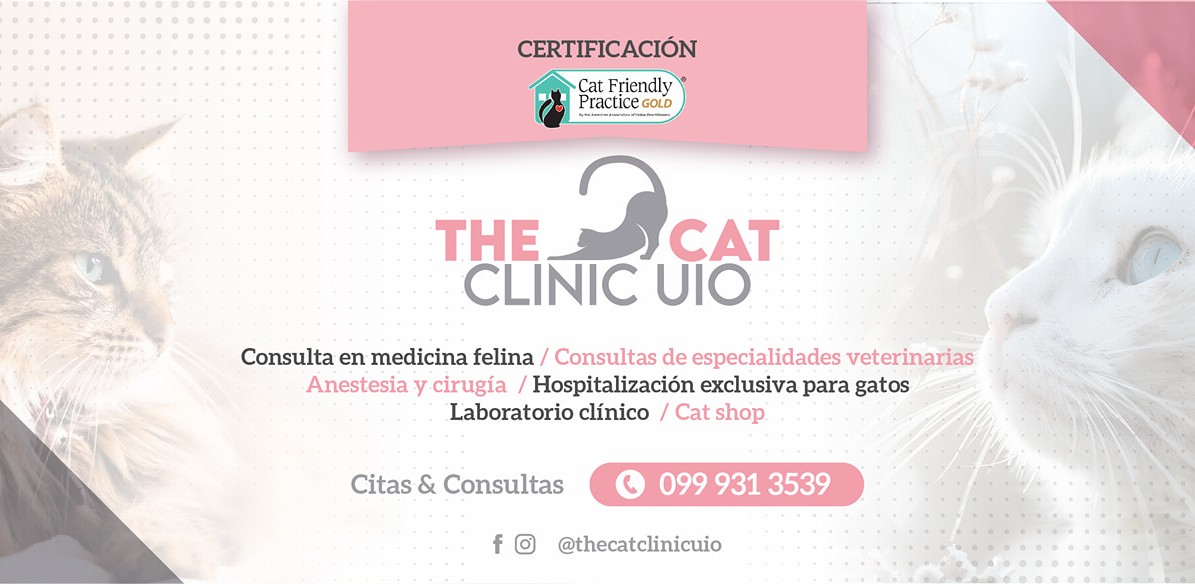 The Cat Clinic UIO