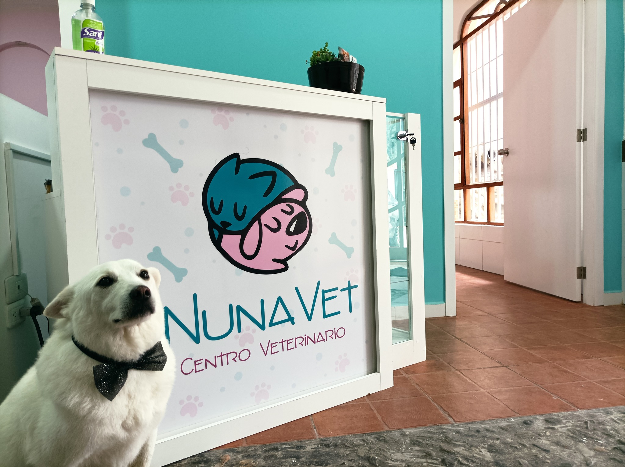 Nunavet Clínica Veterinaria