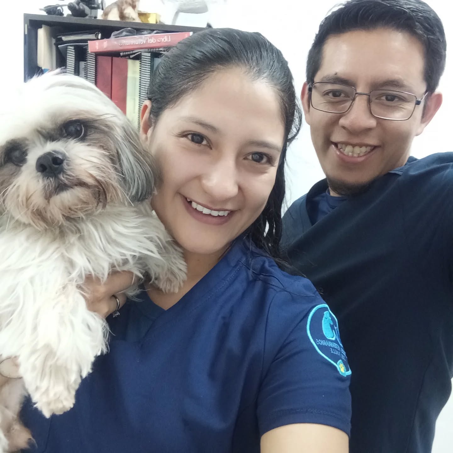 Médicos Veterinarios del Valle