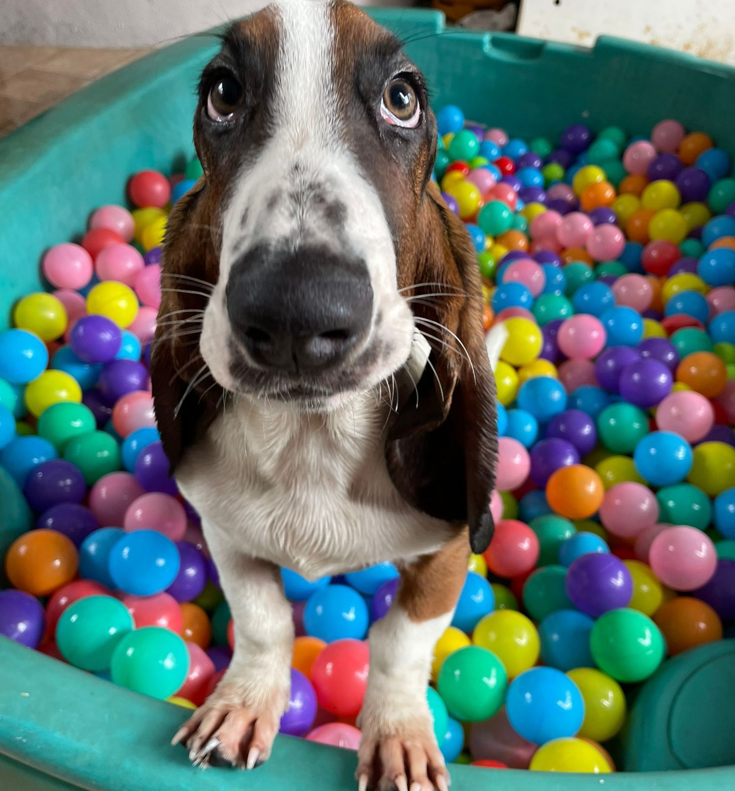ZEUSS uno de nuestros huespedes mas queridos