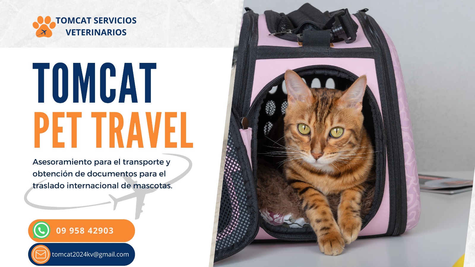 TOMCAT PET TRAVEL