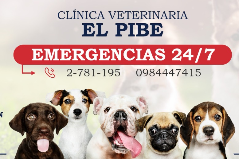 Clínica Veterinaria El Pibe
