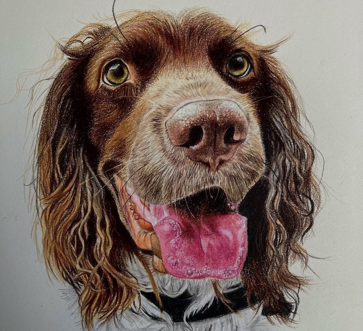 Retrato de mascota basado en fotografía