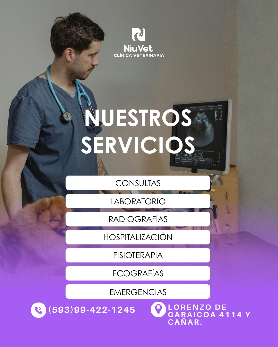 NiuVet Clínica Veterinaria