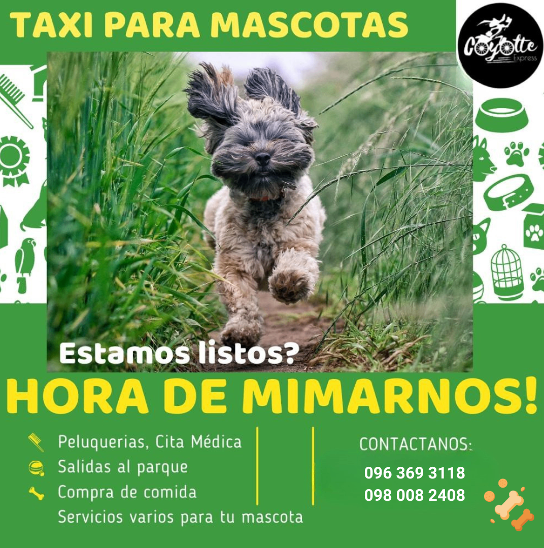 Imagen principal