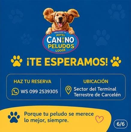 Imagen principal