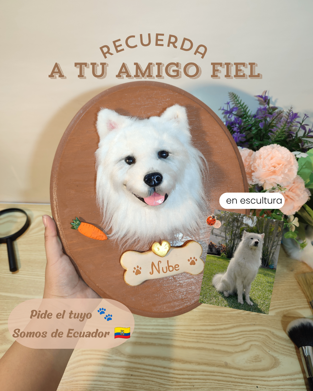 Imagen principal