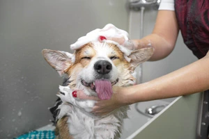 Peluquerías